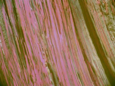 中鋼集團鞍山熱能研究院有限公司