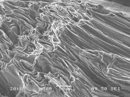 中鋼集團鞍山熱能研究院有限公司